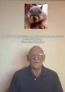 Harold (@haroldandpsyop)