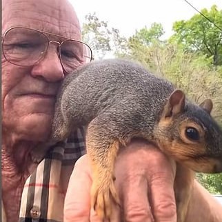 Psyop the squirrel